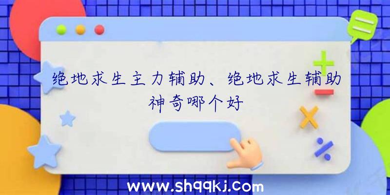 绝地求生主力辅助、绝地求生辅助神奇哪个好