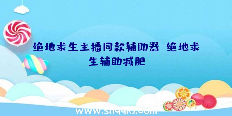 绝地求生主播同款辅助器、绝地求生辅助减肥