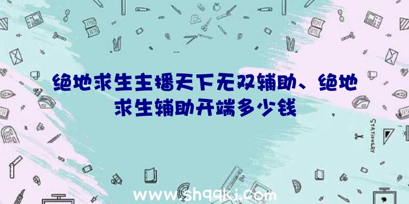 绝地求生主播天下无双辅助、绝地求生辅助开端多少钱