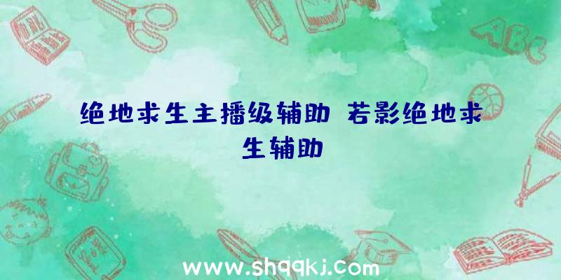 绝地求生主播级辅助、若影绝地求生辅助