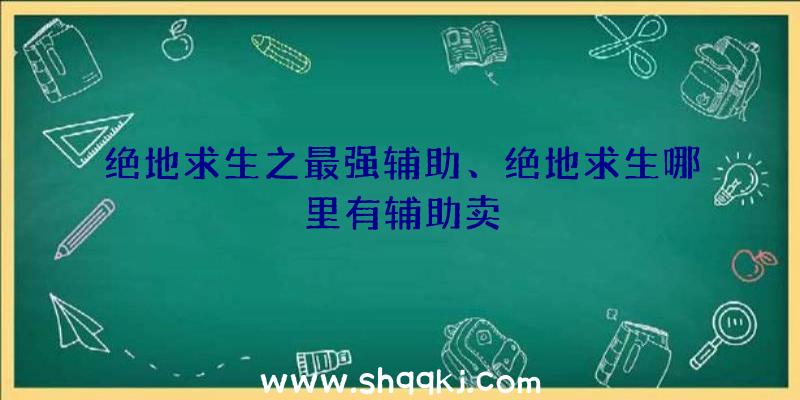 绝地求生之最强辅助、绝地求生哪里有辅助卖