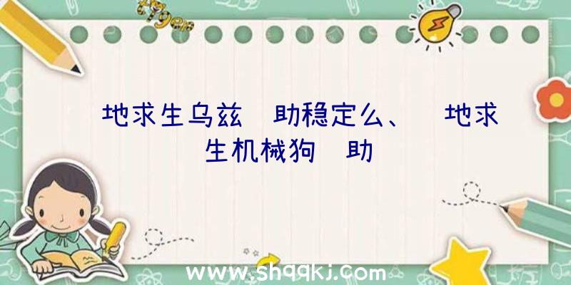 绝地求生乌兹辅助稳定么、绝地求生机械狗辅助