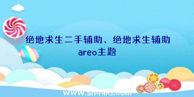 绝地求生二手辅助、绝地求生辅助areo主题