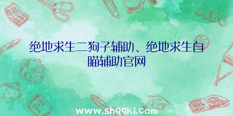 绝地求生二狗子辅助、绝地求生自瞄辅助官网