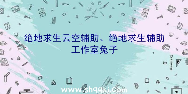 绝地求生云空辅助、绝地求生辅助工作室兔子