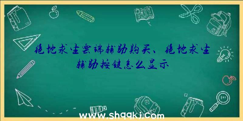 绝地求生云端辅助购买、绝地求生辅助按键怎么显示