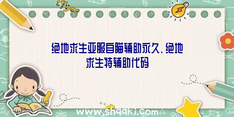 绝地求生亚服自瞄辅助永久、绝地求生特辅助代码