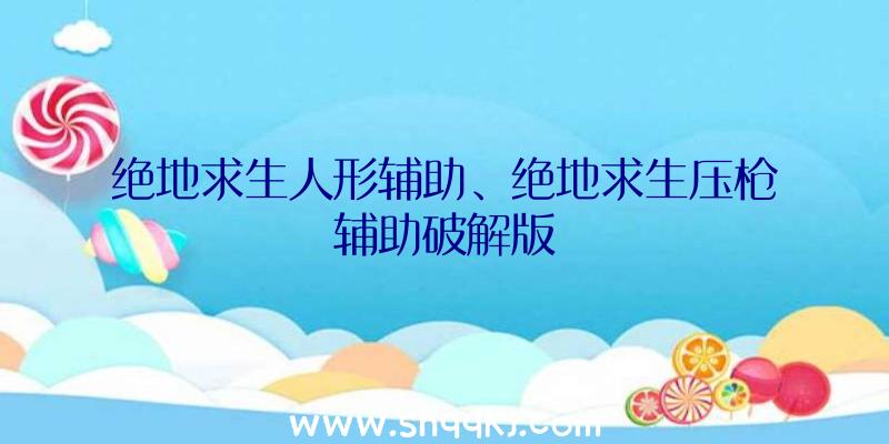 绝地求生人形辅助、绝地求生压枪辅助破解版