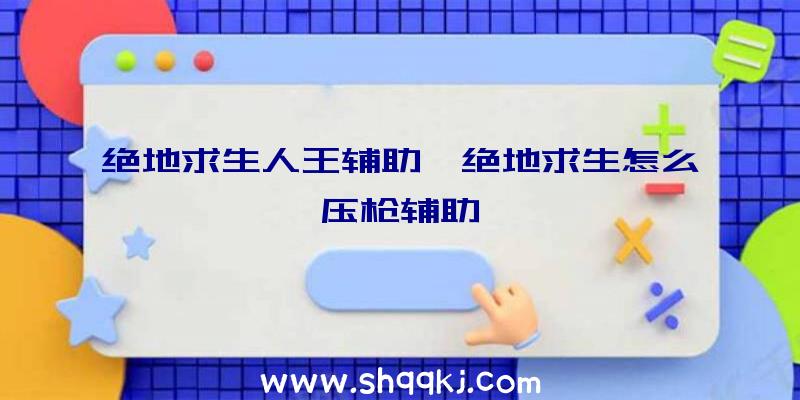 绝地求生人王辅助、绝地求生怎么压枪辅助