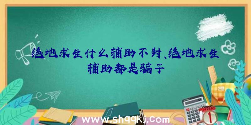 绝地求生什么辅助不封、绝地求生辅助都是骗子