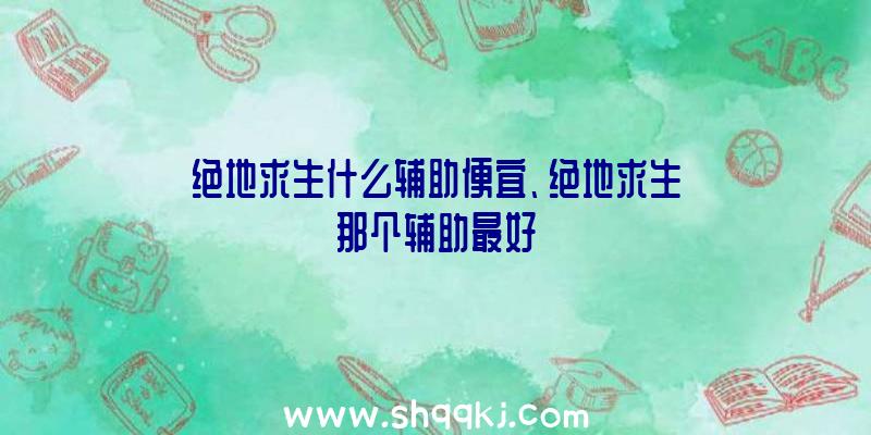 绝地求生什么辅助便宜、绝地求生那个辅助最好