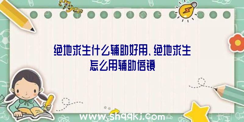 绝地求生什么辅助好用、绝地求生怎么用辅助倍镜