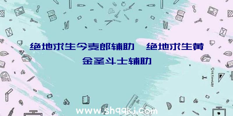 绝地求生今麦郎辅助、绝地求生黄金圣斗士辅助