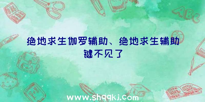 绝地求生伽罗辅助、绝地求生辅助键不见了