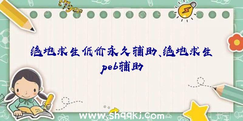 绝地求生低价永久辅助、绝地求生peb辅助