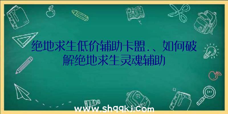 绝地求生低价辅助卡盟.、如何破解绝地求生灵魂辅助