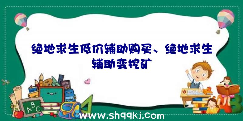 绝地求生低价辅助购买、绝地求生辅助变挖矿