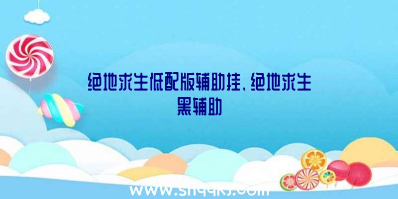 绝地求生低配版辅助挂、绝地求生黑辅助