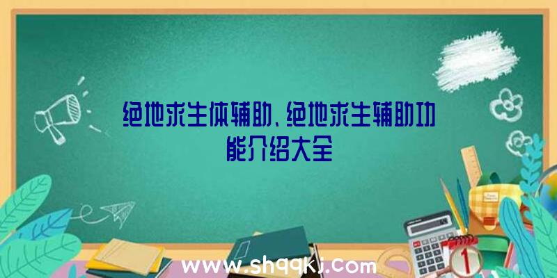 绝地求生体辅助、绝地求生辅助功能介绍大全