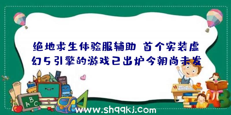 绝地求生体验服辅助：首个实装虚幻5引擎的游戏已出炉今朝尚未发明画面质量提高