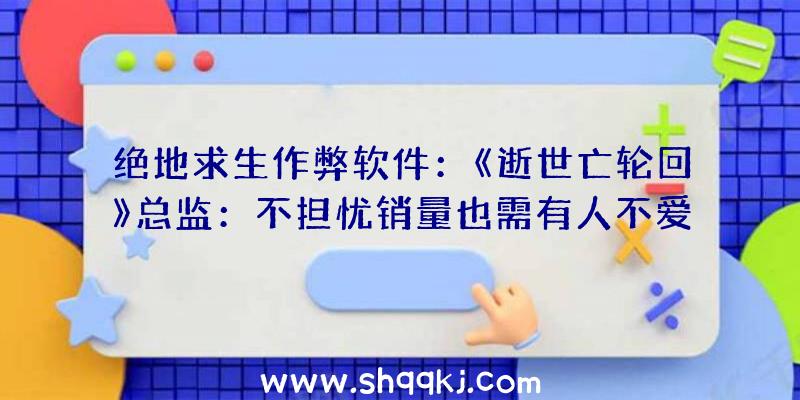 绝地求生作弊软件：《逝世亡轮回》总监：不担忧销量也需有人不爱好但最少它有特性