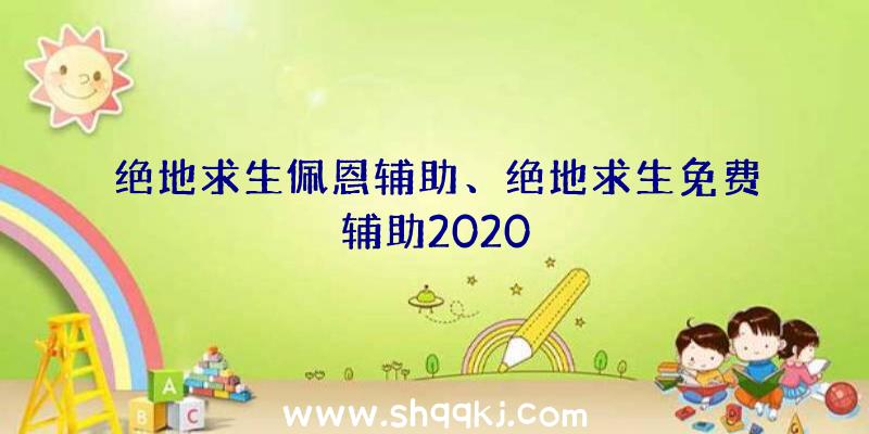 绝地求生佩恩辅助、绝地求生免费辅助2020