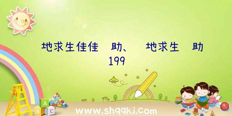 绝地求生佳佳辅助、绝地求生辅助199