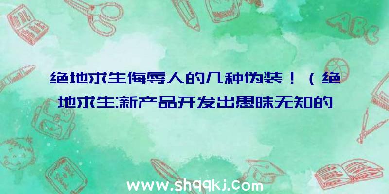 绝地求生侮辱人的几种伪装！（绝地求生:新产品开发出愚昧无知的掩藏预期效果）