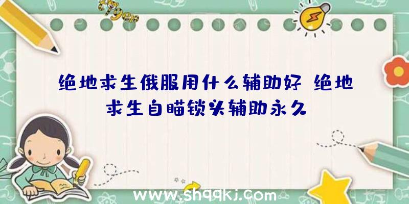 绝地求生俄服用什么辅助好、绝地求生自瞄锁头辅助永久