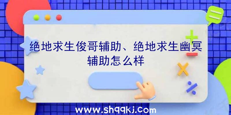 绝地求生俊哥辅助、绝地求生幽冥辅助怎么样