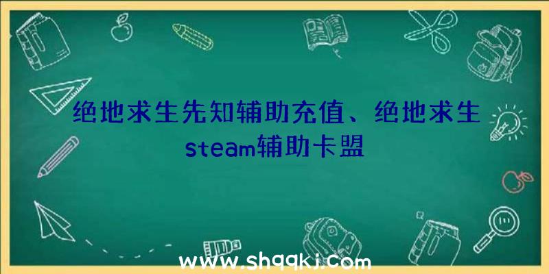 绝地求生先知辅助充值、绝地求生steam辅助卡盟