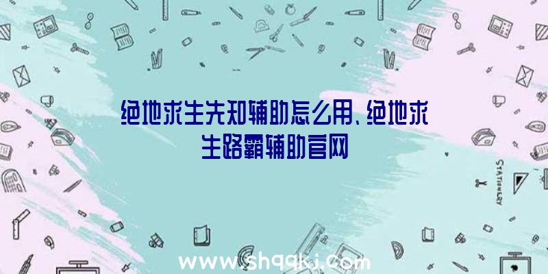 绝地求生先知辅助怎么用、绝地求生路霸辅助官网