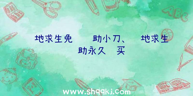 绝地求生免费辅助小刀、绝地求生辅助永久购买