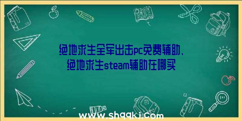 绝地求生全军出击pc免费辅助、绝地求生steam辅助在哪买