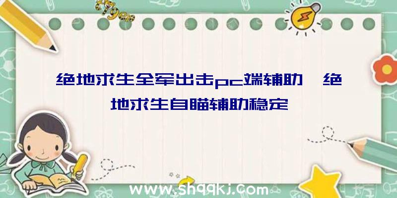 绝地求生全军出击pc端辅助、绝地求生自瞄辅助稳定