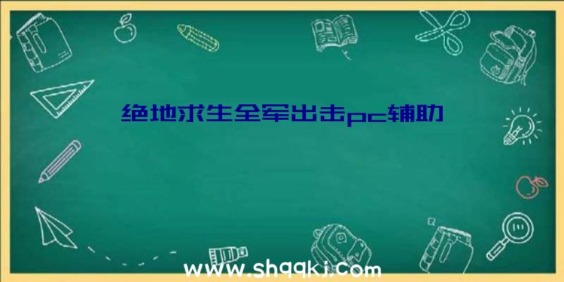 绝地求生全军出击pc辅助