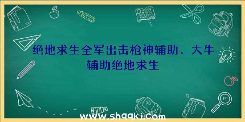 绝地求生全军出击枪神辅助、大牛辅助绝地求生