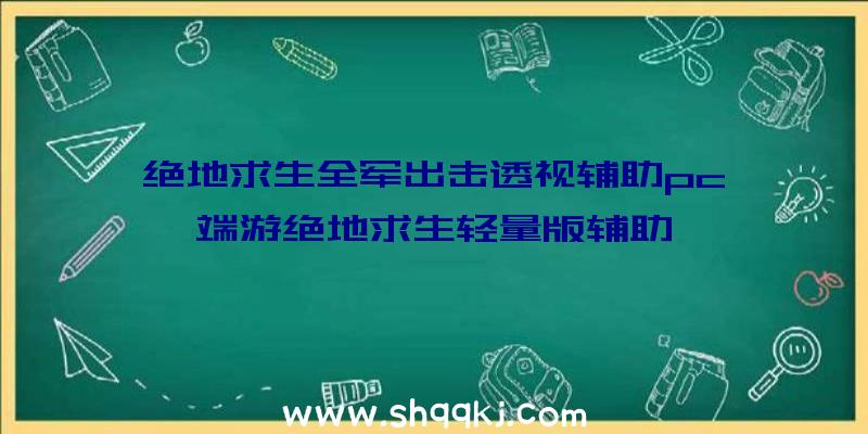 绝地求生全军出击透视辅助pc、端游绝地求生轻量版辅助