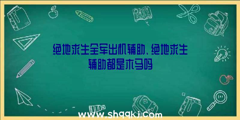 绝地求生全军出机辅助、绝地求生辅助都是木马吗