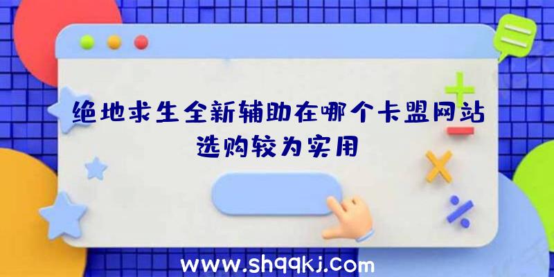 绝地求生全新辅助在哪个卡盟网站选购较为实用？