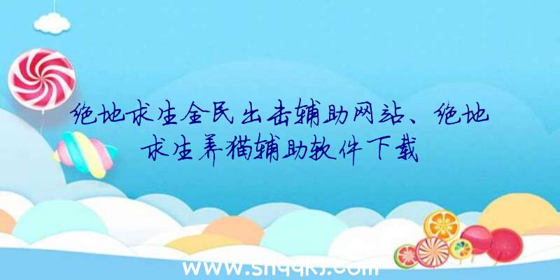 绝地求生全民出击辅助网站、绝地求生养猫辅助软件下载