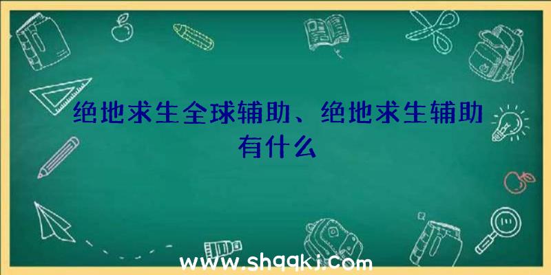 绝地求生全球辅助、绝地求生辅助有什么