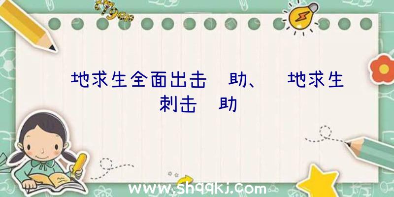 绝地求生全面出击辅助、绝地求生刺击辅助