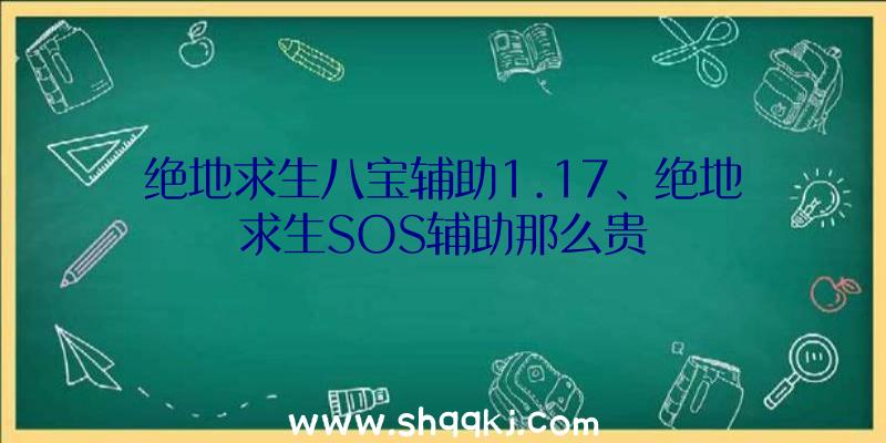 绝地求生八宝辅助1.17、绝地求生SOS辅助那么贵