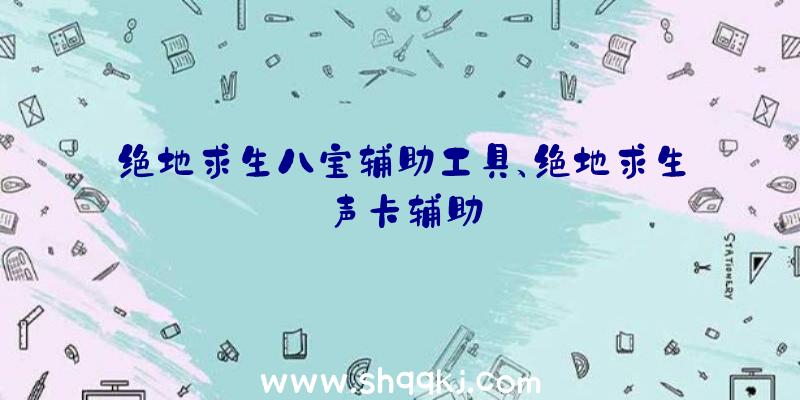 绝地求生八宝辅助工具、绝地求生声卡辅助