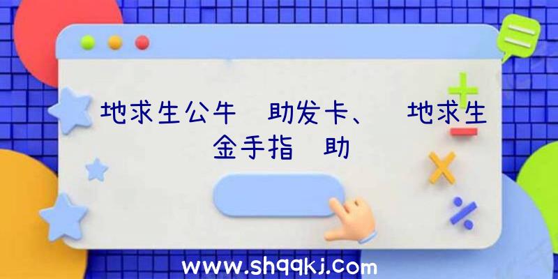 绝地求生公牛辅助发卡、绝地求生金手指辅助