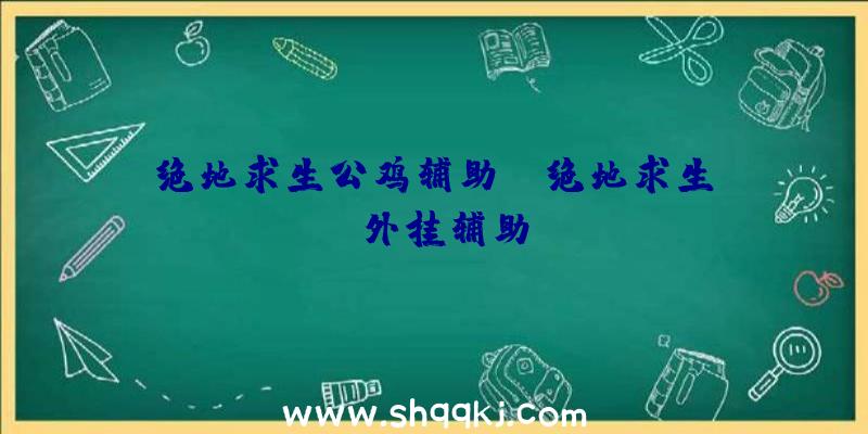 绝地求生公鸡辅助、、绝地求生pc外挂辅助