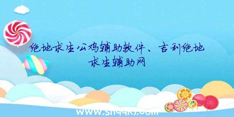 绝地求生公鸡辅助软件、吉利绝地求生辅助网