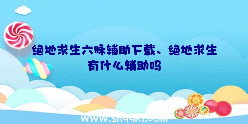 绝地求生六脉辅助下载、绝地求生有什么辅助吗