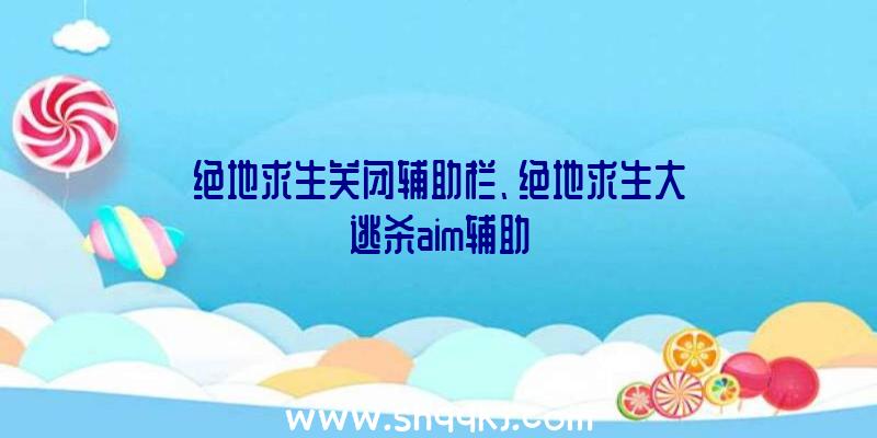 绝地求生关闭辅助栏、绝地求生大逃杀aim辅助